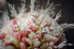 мастерская сухоцветов Маркиза Flowers